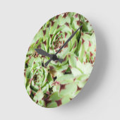 sempervivum ronde klok (Hoek)