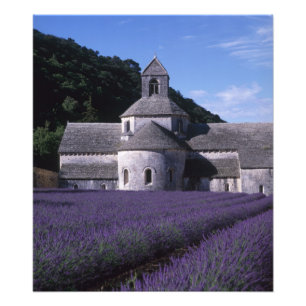 Senanque Abbey, Gordes, Vaucluse, Provence, 2 Foto Afdruk
