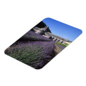 Senanque Abbey, Gordes, Vaucluse, Provence Magneet (Linkerzijde)