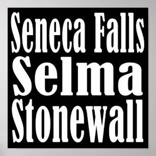 Seneca Falls Selma Stonewall Poster