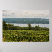 Seneca Lake en Vineyards, New York Poster (Voorkant)