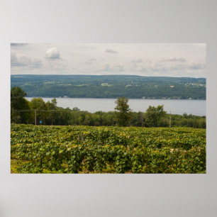 Seneca Lake en Vineyards, New York Poster