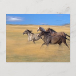 Seneca, Oregon, Verenigde Staten Briefkaart