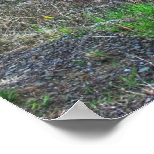 Seneca Rocks HDR Poster (Hoek)