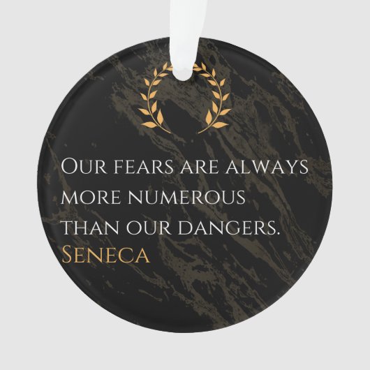 Seneca's Insight: Angsten in vergelijking met echt Ornament (voorkant)