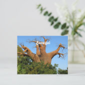 Senegal Briefkaart (Staand voorkant)