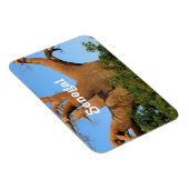 Senegal Magneet (Rechterzijde)