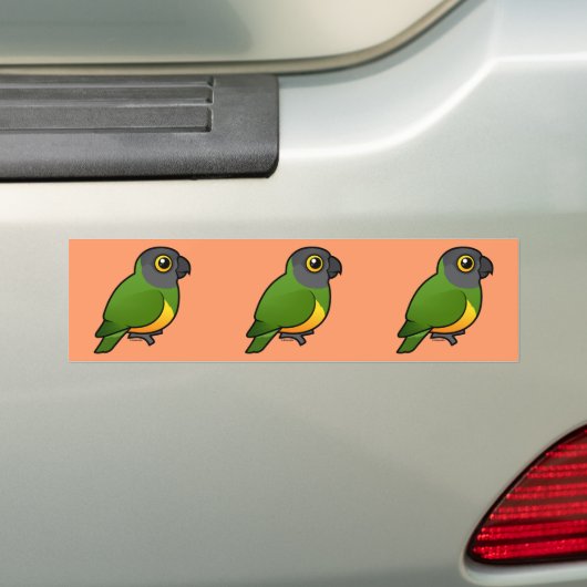 Senegal Parrot Bumpersticker (Op auto)
