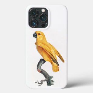 Senegal Parrot iPhone 13 Pro Hoesje