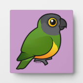 Senegal Parrot Fotoplaat (Voorkant)