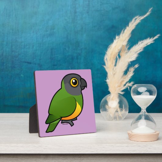 Senegal Parrot Fotoplaat (Insitu)