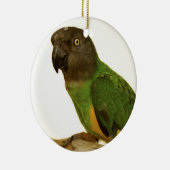 Senegal Parrot Ornament (Rechts)