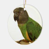 Senegal Parrot Ornament (Links)