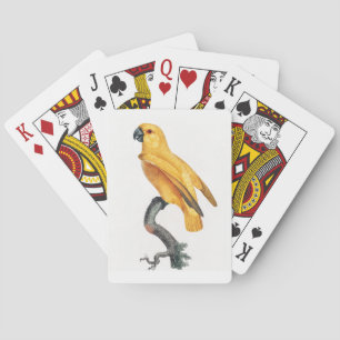 Senegal Parrot Pokerkaarten
