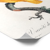 Senegal Parrot Poster (Hoek)