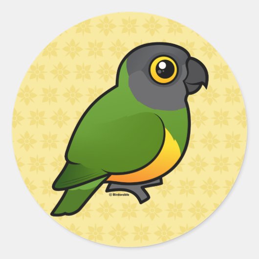 Senegal Parrot Ronde Sticker (Voorkant)