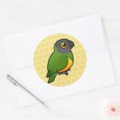 Senegal Parrot Ronde Sticker (Envelop)