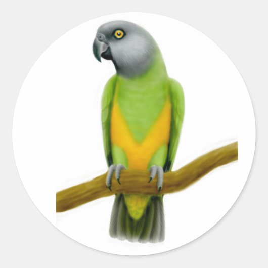 Senegal Parrot Sticker (Voorkant)