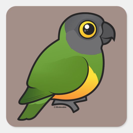 Senegal Parrot Vierkante Sticker (Voorkant)