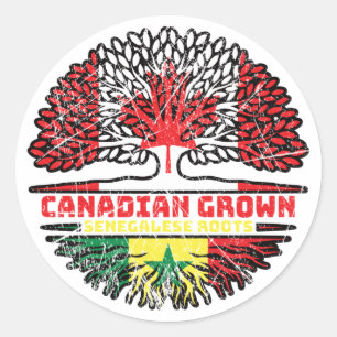 Senegal Senegalese Canadese vlag over boomstammen Ronde Sticker