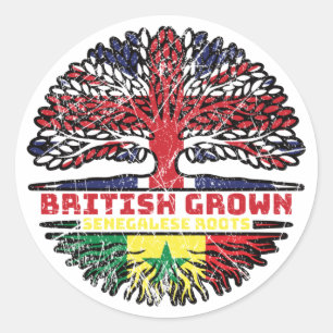 Senegal Senegalese UK - Britse boom Ronde Sticker