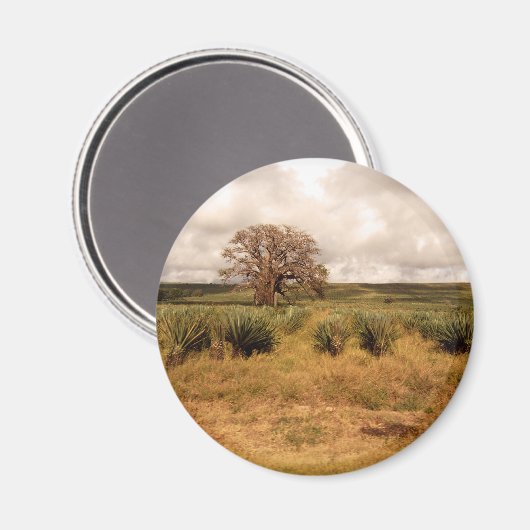 Senegalese landschap magneet (Voorkant / Achterkant)