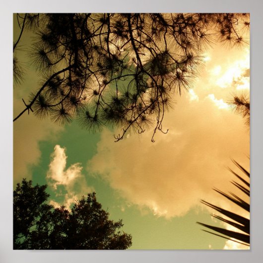 Senic Sky Poster (Voorkant)