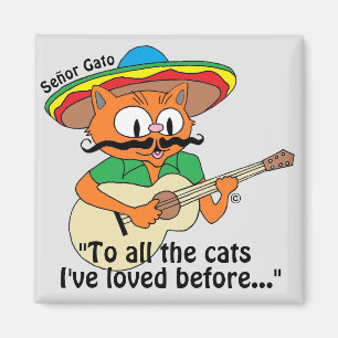 Señor Gato Cartoon Kat Speelt Gitaar en Zingt Magneet