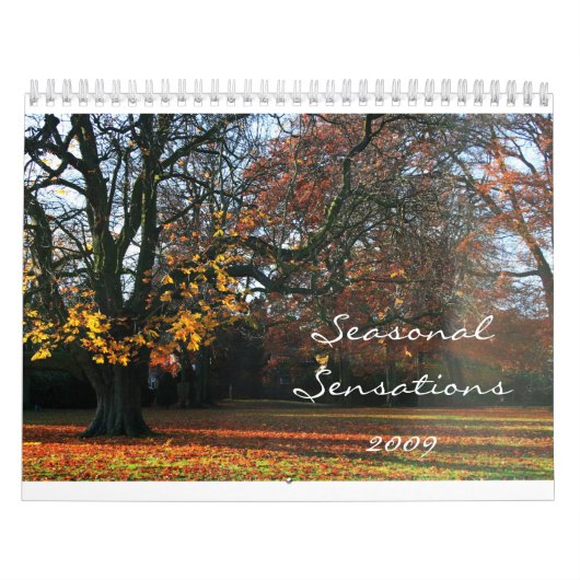 Sensaties 2009 kalender (Hoes)