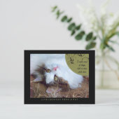 Sense Leçons De Vie D'Une Carte Postale Chat (Debout devant)