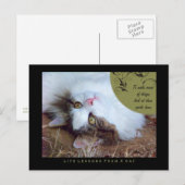 Sense Leçons De Vie D'Une Carte Postale Chat (Devant / Derrière)