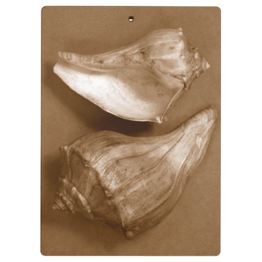 Sensual Shells Klembord (Achterkant)