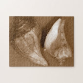 Sensual Shells Legpuzzel (Horizontaal)