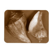 Sensual Shells Magneet (Horizontaal)