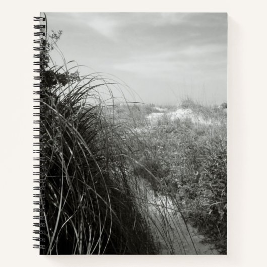 Sentier à travers les dunes | Journal rustique de  (Devant)