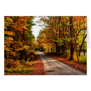 Sentier boisé avec feuillage d'automne