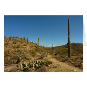 Sentier Carillo du Saguaro dans le parc national d
