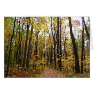 Sentier d'automne et feuilles dorées à Laurel Hill
