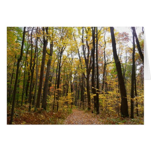 Sentier d'automne et feuilles dorées à Laurel Hill (Devant horizontal)