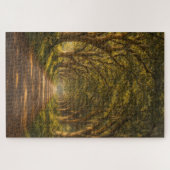 Sentier de chêne vivant | Paysage | Puzzle (Horizontal)