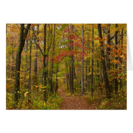 Sentier de Laurel Hill en automne (Devant horizontal)
