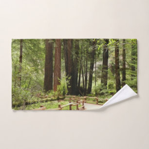 Sentier de Muir Woods I Photographie de la nature