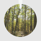 Sentier des Appalaches en octobre à Shenandoah (dos)