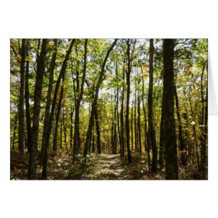 Sentier des Appalaches en octobre à Shenandoah