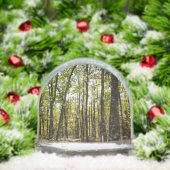 Sentier des Appalaches en octobre à Shenandoah (Noël)