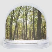 Sentier des Appalaches en octobre à Shenandoah (Arrière)