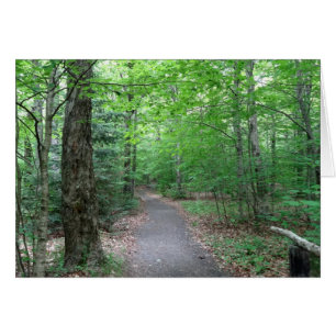 Sentier du lac Lonesome dans le New Hampshire