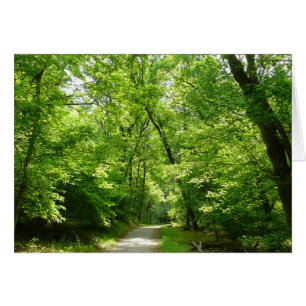 Sentier du moulin à grains I