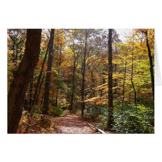 Sentier ensoleillé d'automne dans le parc d'État L (Devant horizontal)