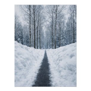 Sentier forestier hivernal brumeux Affiche de pays